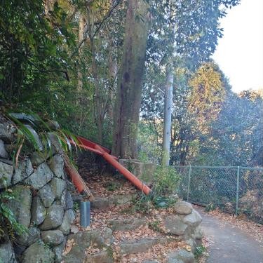 氷室神社の写真