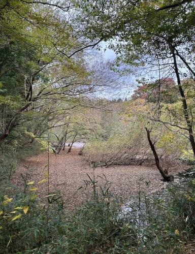 植草共生の森・御成貯水池跡の画像