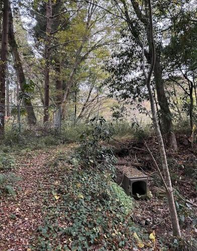 植草共生の森・御成貯水池跡の画像