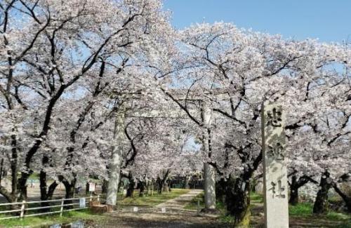 布袋児童遊園の画像