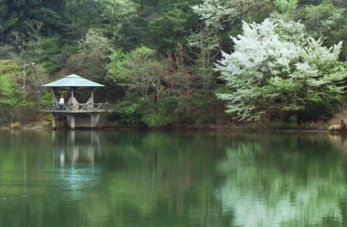 小幡緑地（本園）の写真