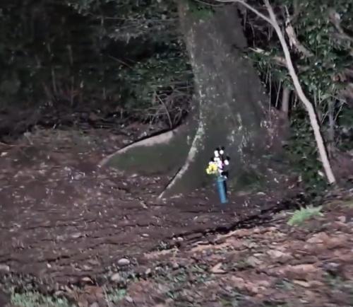成田心中屋敷跡地の画像