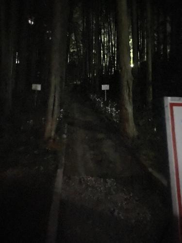 田波目(多和目)城跡の画像