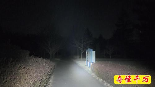 阿見ふれあいの森公園の画像
