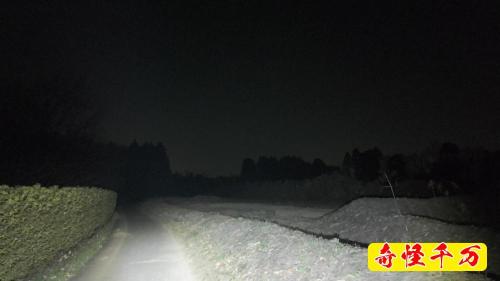阿見ふれあいの森公園の画像
