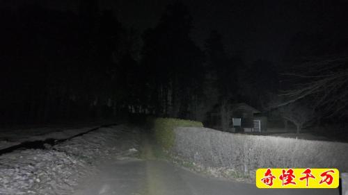 阿見ふれあいの森公園の写真
