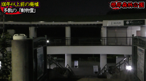 根岸森林公園の画像