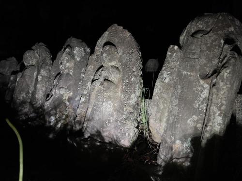 ありがた山の写真