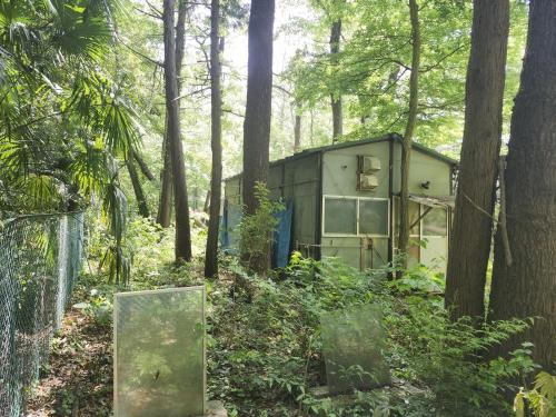 高柳現代の廃村の画像
