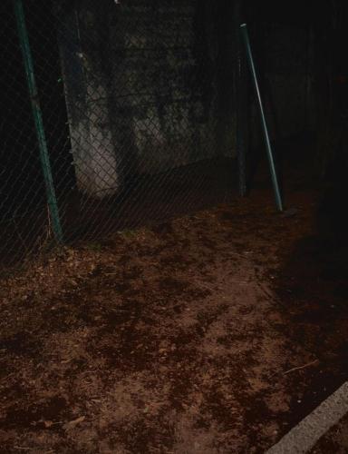 禁断の地（鶴牧西公園）の写真
