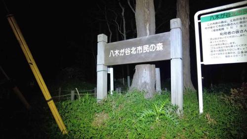 八木が谷北市民の森の写真