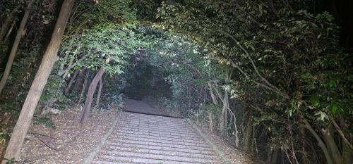 大阪南港野鳥園の画像