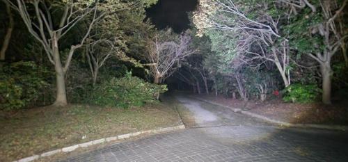 大阪南港野鳥園の画像