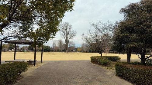 波志江沼(波志江沼環境ふれあい公園)の画像