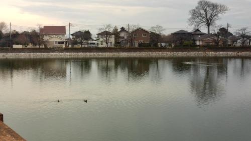 波志江沼(波志江沼環境ふれあい公園)の画像