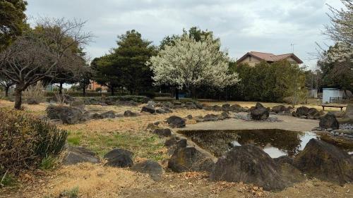 波志江沼(波志江沼環境ふれあい公園)の画像