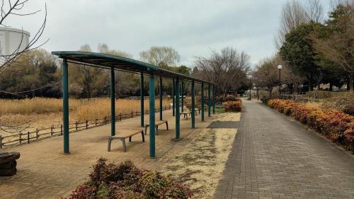 波志江沼(波志江沼環境ふれあい公園)の写真
