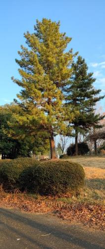 伊与久沼公園の写真