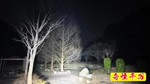 廃公園の画像