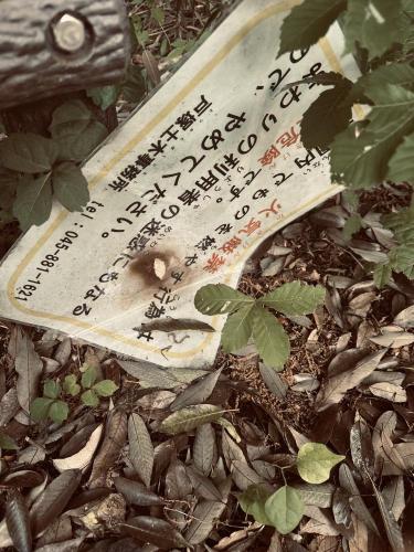 戸塚西公園の写真