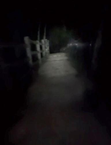天神山公園の写真