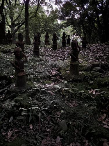 平和台公園の写真