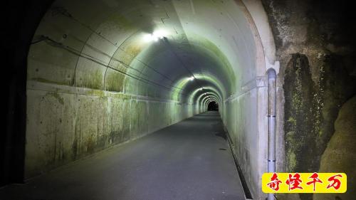 川津隧道の写真