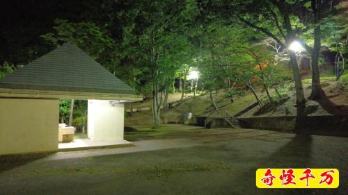 緑町公園の写真