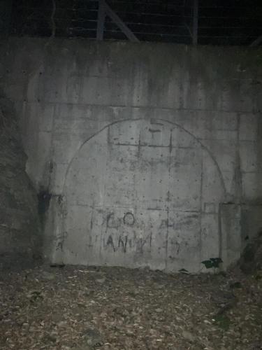 旧童学寺トンネル（石井トンネル）の写真
