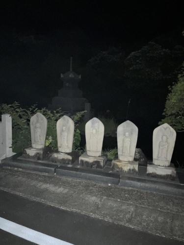 足摺岬の画像