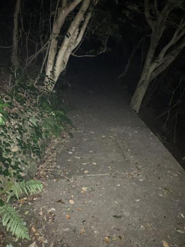 足摺岬の画像