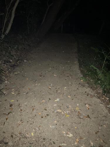 足摺岬の画像