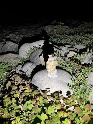 足摺岬の画像