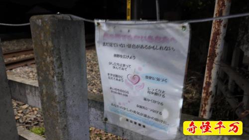 東深井のお化け踏切の画像