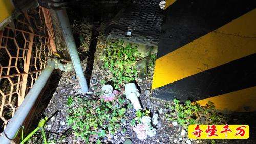 東深井のお化け踏切の写真