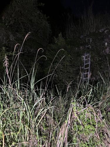 麓宝園跡の画像