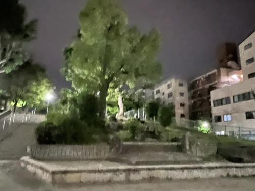 東高津公園の画像
