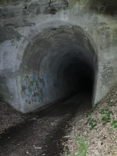旧仲村トンネル（立石トンネル）の画像
