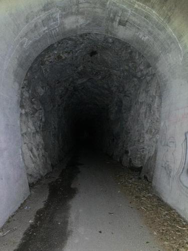 旧仲村トンネル（立石トンネル）の画像