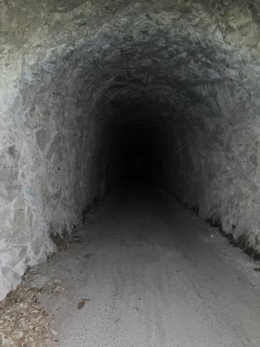 旧仲村トンネル（立石トンネル）の画像