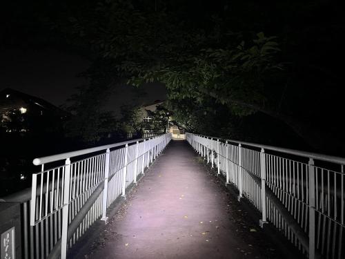 大蓮公園の写真
