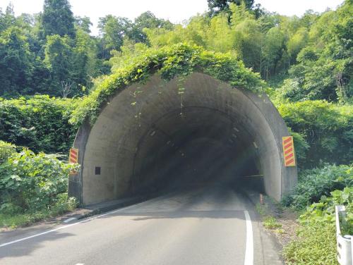 人面隧道(人面トンネル) の画像