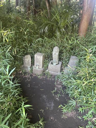 ウィトリッヒの森の写真