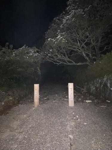 旧東海道　金谷坂の写真