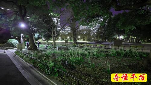 日比谷公園の写真