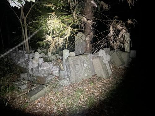 お勝山（岡山本陣跡）の画像