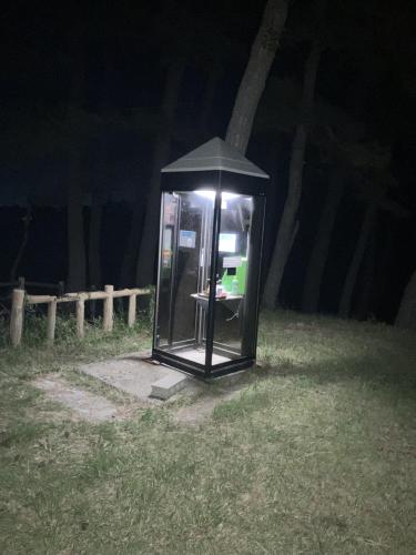 東尋坊の画像