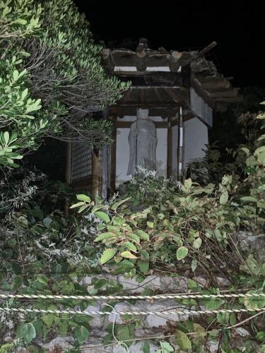 東尋坊の画像