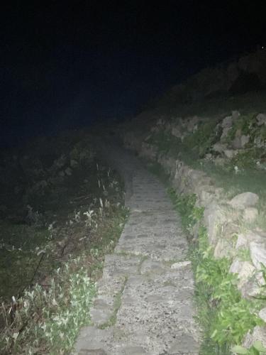 東尋坊の画像