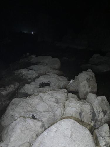 東尋坊の画像
